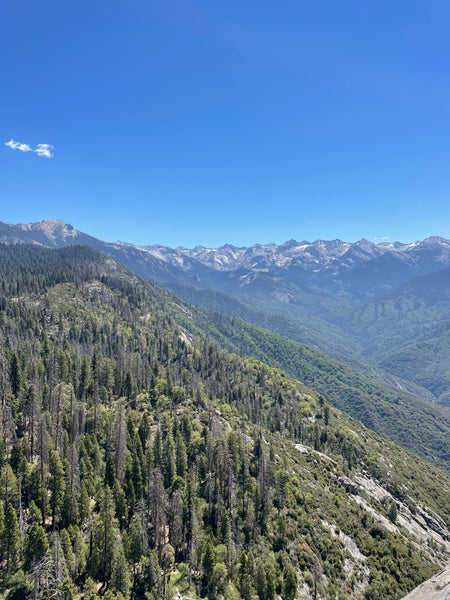 The Four Best Attractions for your first day in the Sequoia National Park