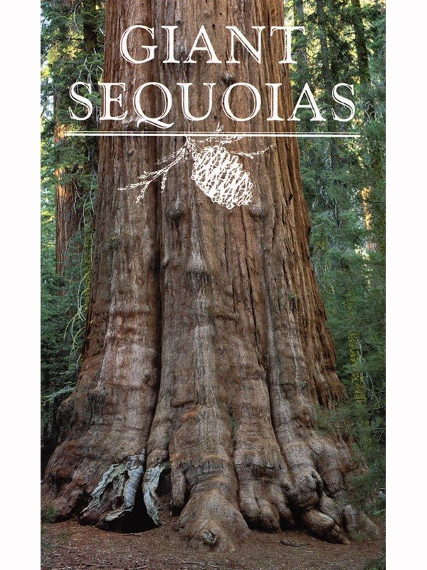 Sequoia Parks - Giant Sequoias Book